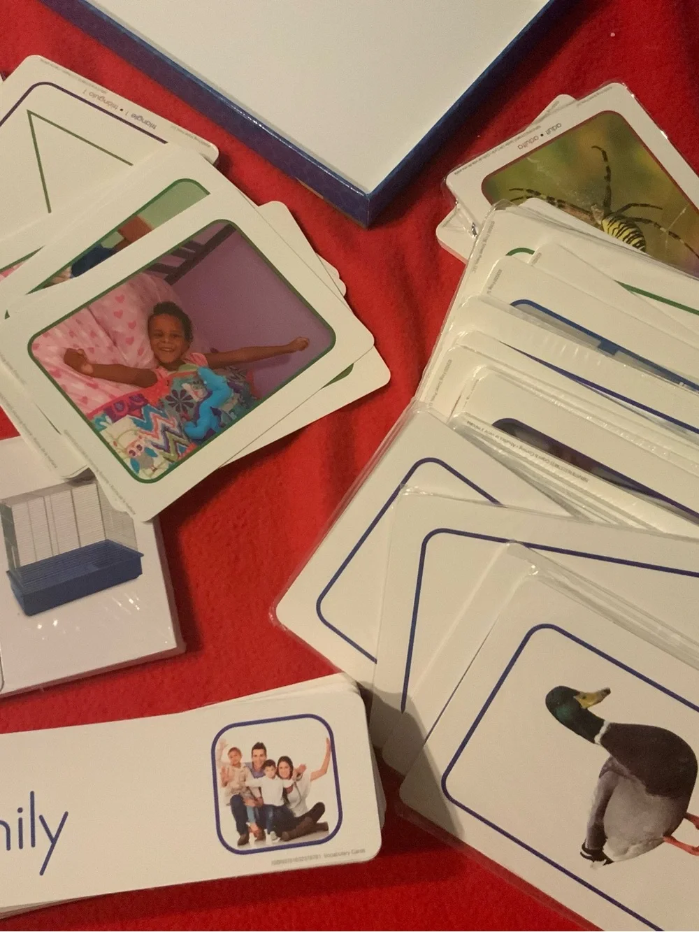 FrogStreet Pre K Letters Vocabulary Photo Cards Complete Like  New